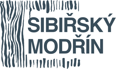 Sibiřský modřín